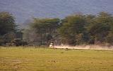 TANZANIA - Lake Manyara National Park - 64